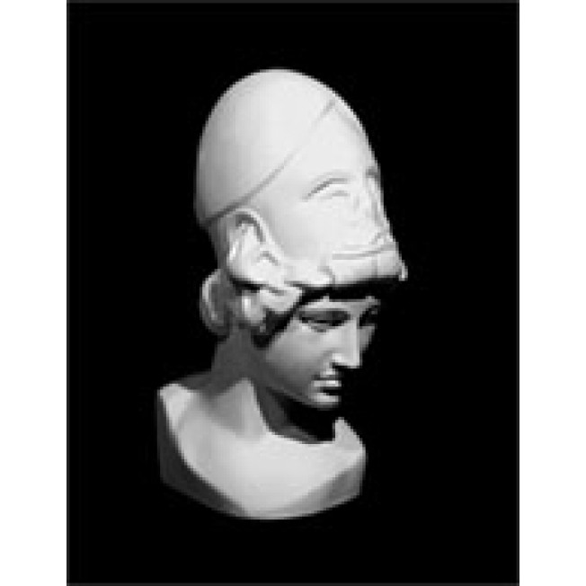 Голова Афины Мирона, гипс 10-133