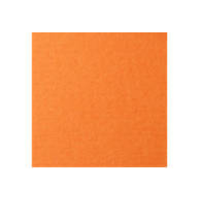 23164 Бумага для пастели, оранжевый, 42*29,7см