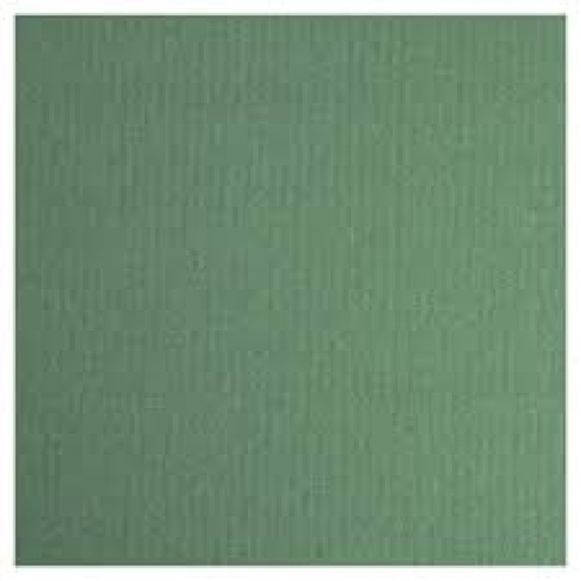 11457 Бумага для пастели, зеленый еловый, 50*65см