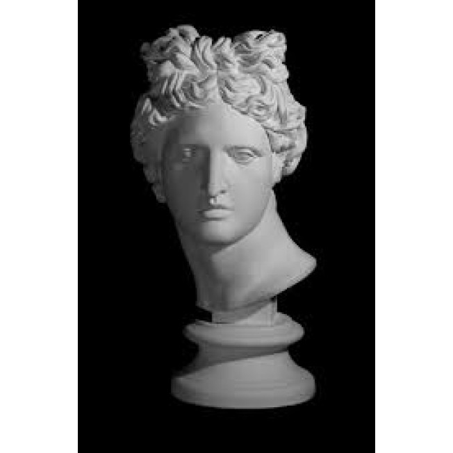 Голова Аполлона Бельведерского, гипс 10-109