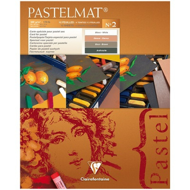Альбом PASTELMAT д/пастели 360г/м 24*30см 12л склейка 4цв Clairefontaine