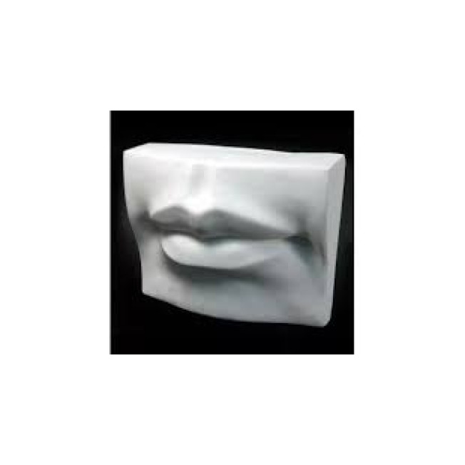 Губы Давида, гипс 20-204