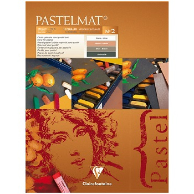 Альбом PASTELMAT д/пастели 360г/м 30*40см 12л склейка 4цв Clairefontaine