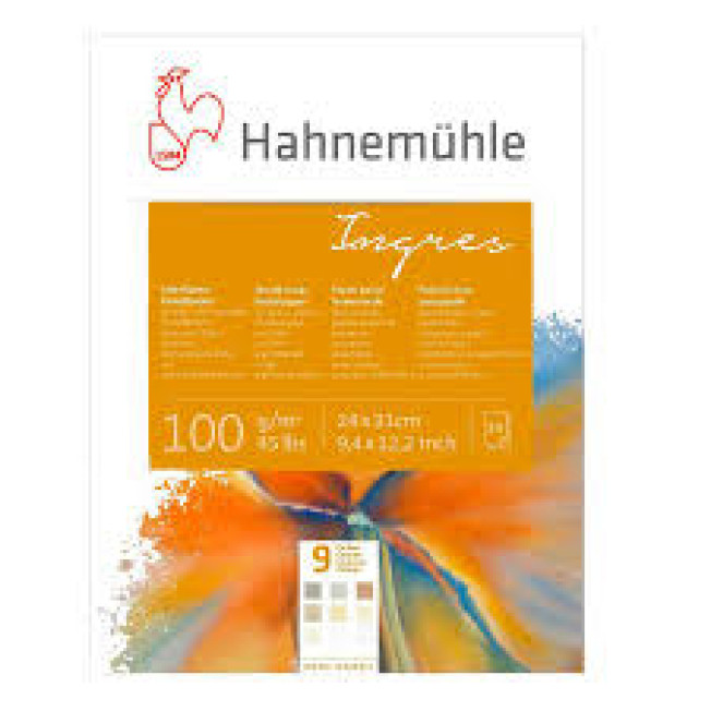 Альбом-склейка д/пастели "Ingres", 24*31см, 20л 100г Hahnemuhle