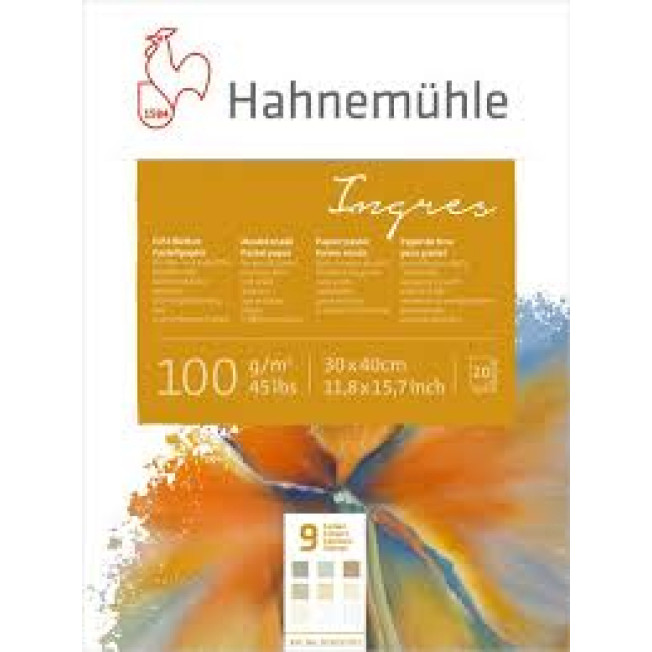Альбом-склейка для пастели "Ingres", 30х40см, 20л 100г Hahnemuhle