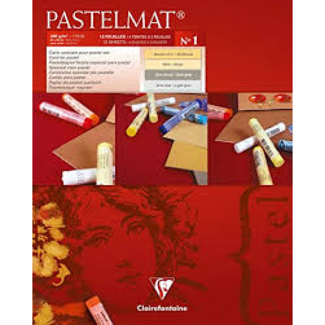 Альбом PASTELMAT для пастели 360г/м 24*30см 12л, склейка, 4 цвета Clairefontaine