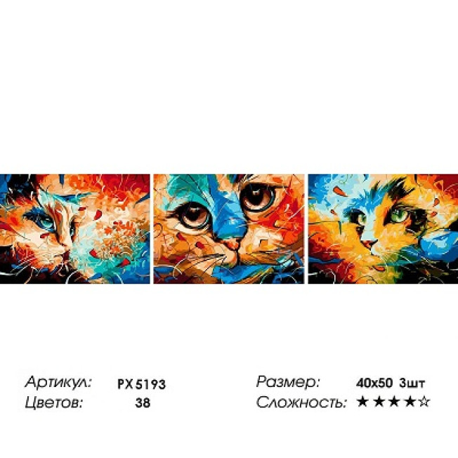 Рисование по номерам 40*50*3 PX 5193 "Акварельный кот"