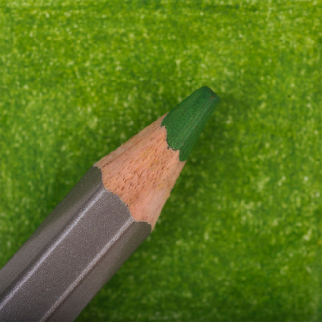 Карандаш цветной Малевичъ GrafArtPRO травяной 050