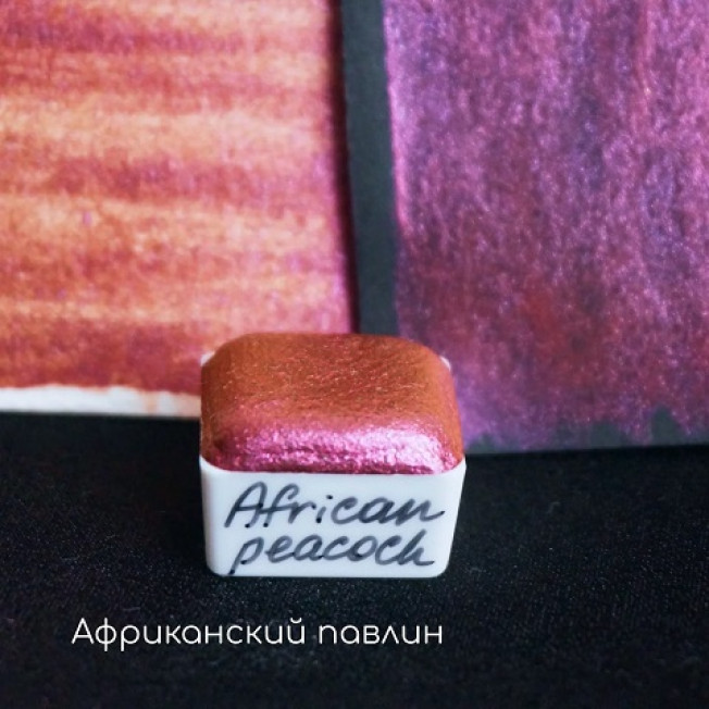 Акварель Африканский павлин - African peackock, полукювета Tintura