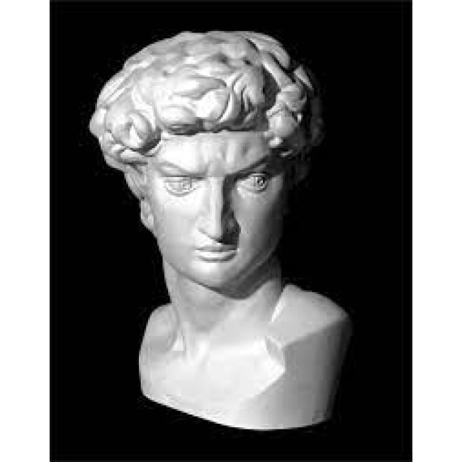 Голова Давид. Микеланджело, гипс 10-123